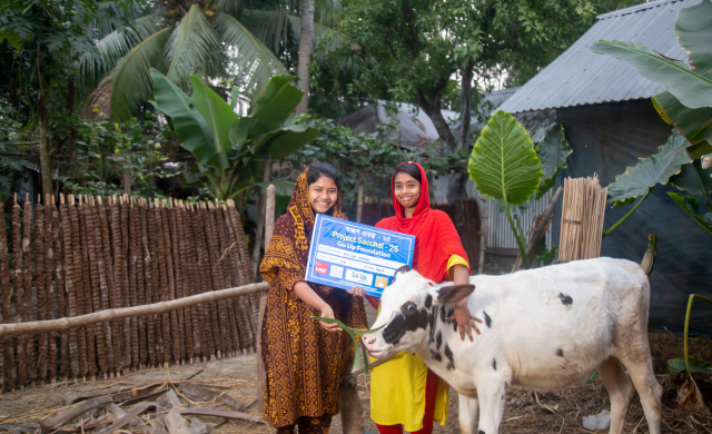 Program schal project