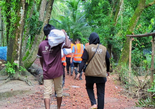 Program go up disaster (1)