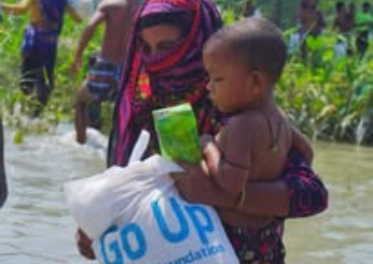 Program go up disaster